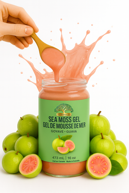 The MotherLand Guava Sea Moss Gel – 16 oz jar with pink splash and guava fruits. Gel de mousse de mer The MotherLand – saveur goyave – pot 16 oz avec éclaboussure rose et fruits de goyave