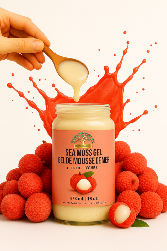 Gel de mousse de mer The MotherLand – saveur litchi – pot 16 oz avec éclaboussure rouge et fruits de litchi. The MotherLand Lychee Sea Moss Gel – 16 oz jar with red splash and lychee fruits