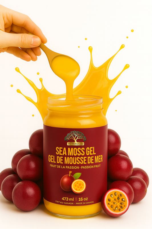 Gel de mousse de mer The MotherLand – saveur fruit de la passion – pot 16 oz avec éclaboussure jaune et fruits. The MotherLand Passion Fruit Sea Moss Gel – 16 oz jar with yellow splash and passion fruits