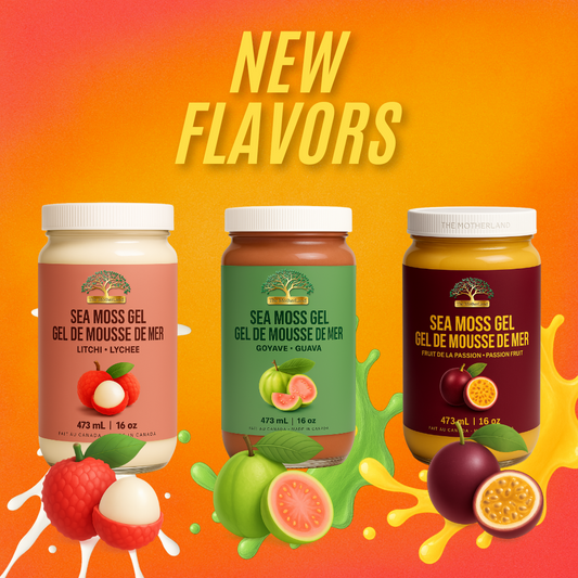 The MotherLand Tropical Elixir Sea Moss Gel Bundle – 3 flavors guava, lychee, passion fruit – 16 oz jars. Coffret Élixir Tropical – gel de mousse de mer The MotherLand – 3 saveurs goyave, litchi et fruit de la passion – pots 16 oz