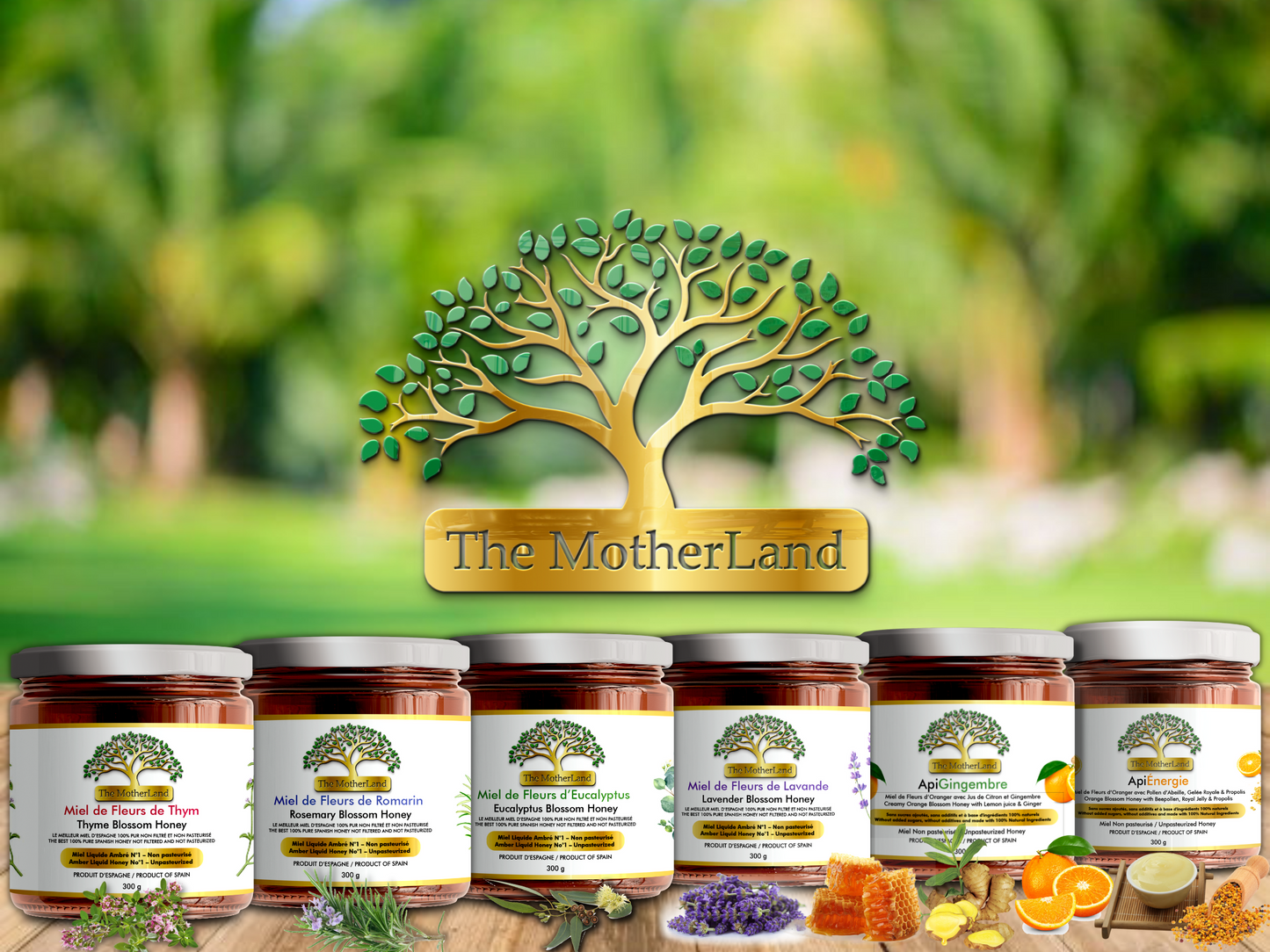 Spanish Eucalyptus Honey