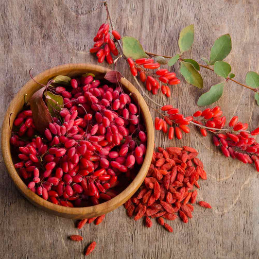 Goji Berries benefits and safety