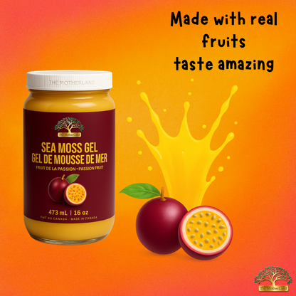 Sea Moss Gel – Passion Fruit | Gel de mousse de mer – Fruit de la passion | The MotherLand (16 oz)