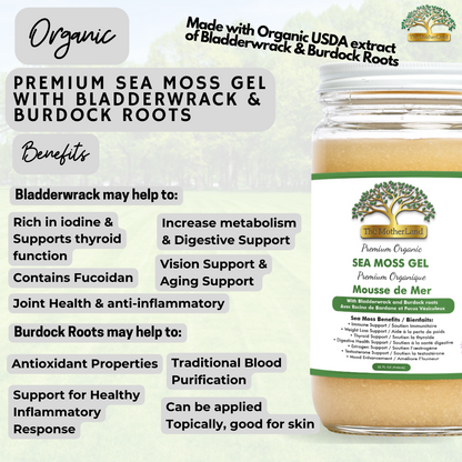 Premium Organic Sea Moss Gel