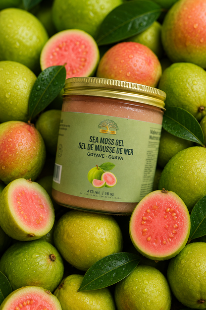 Jar of Sea Moss Gel surrounded by guava fruits