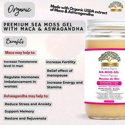 Organic Sea Moss Gel 