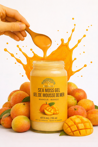 Sea Moss Gel – Mango | Gel de mousse de mer – Mangue | The MotherLand (16 oz)