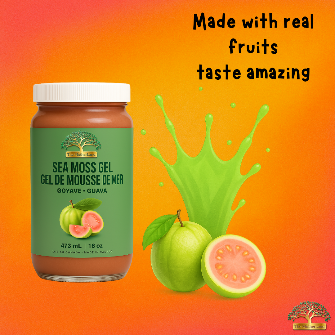 The MotherLand Guava Sea Moss Gel – 16 oz jar with pink splash and guava fruits. Gel de mousse de mer The MotherLand – saveur goyave – pot 16 oz avec éclaboussure rose et fruits de goyave