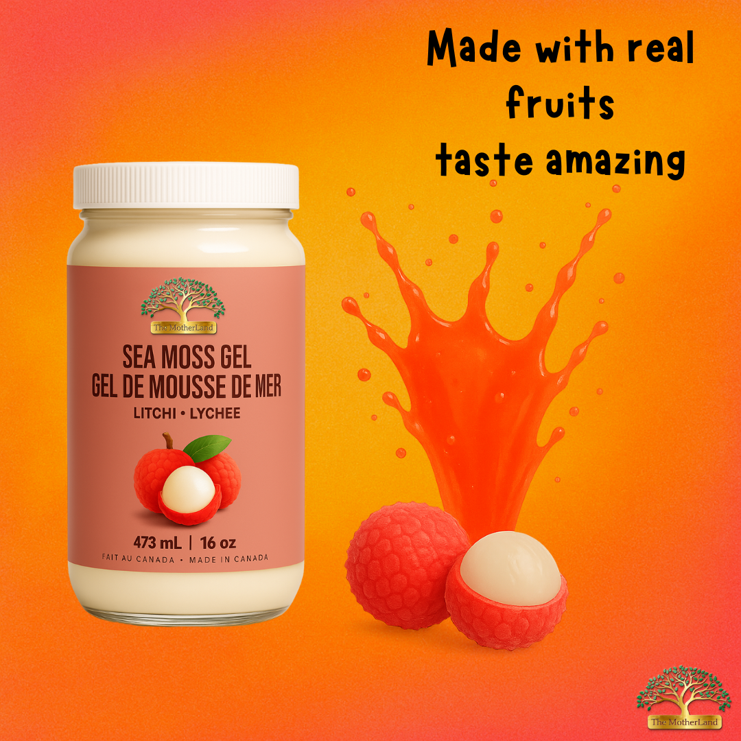 Gel de mousse de mer The MotherLand – saveur litchi – pot 16 oz avec éclaboussure rouge et fruits de litchi. The MotherLand Lychee Sea Moss Gel – 16 oz jar with red splash and lychee fruits