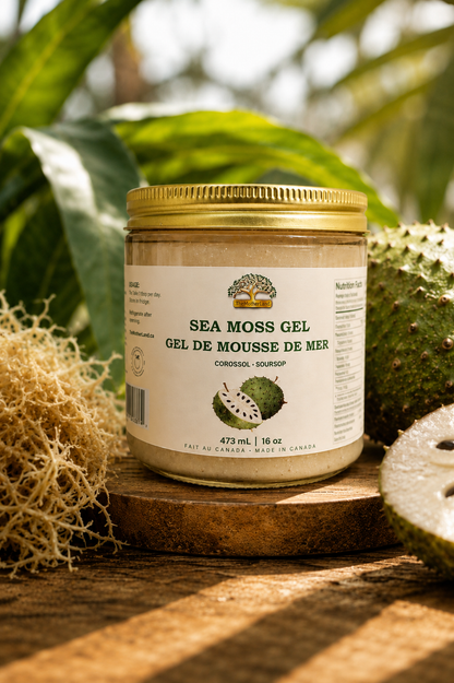 Jar of sea moss gel with a gold lid on a wooden surface surrounded by greenery
