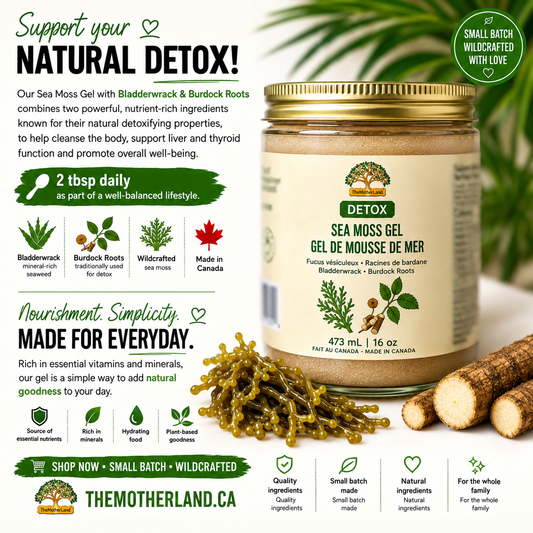 Premium Organic Sea Moss Gel with Bladderwrack and Burduck Roots 100% Natural and Wildcrafted