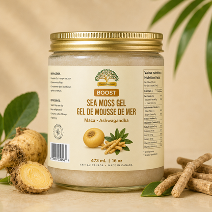 Gel de mousse de mer bio de qualité supérieure avec ashwagandha et maca 100 % naturel