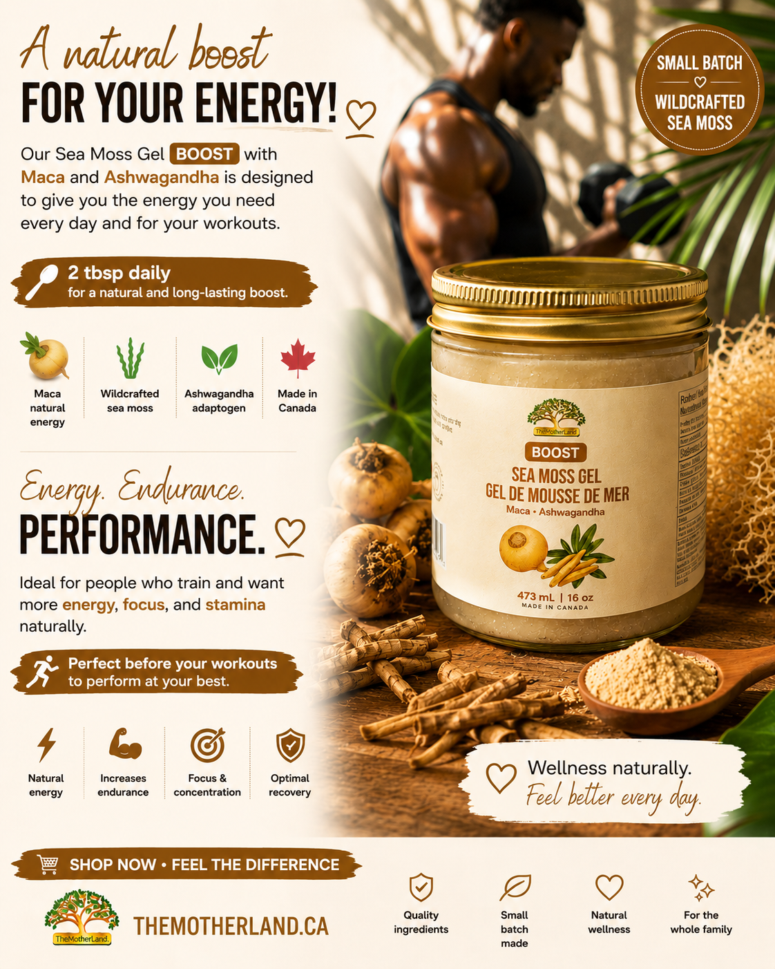 Gel de mousse de mer bio de qualité supérieure avec ashwagandha et maca 100 % naturel