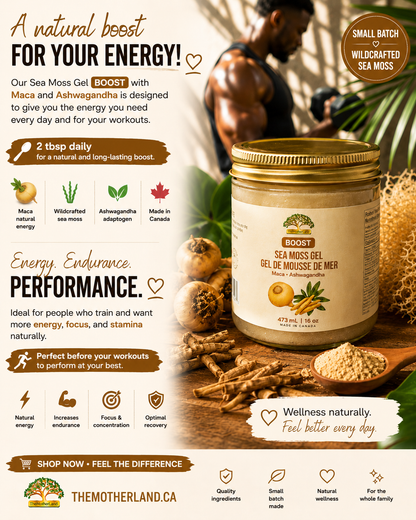 Gel de mousse de mer bio de qualité supérieure avec ashwagandha et maca 100 % naturel