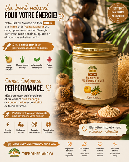 Gel de mousse de mer bio de qualité supérieure avec ashwagandha et maca 100 % naturel