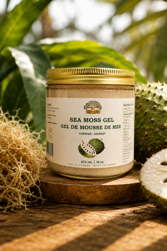Sea Moss Gel – Soursop | Gel de mousse de mer – Corossol | The MotherLand (16 oz)