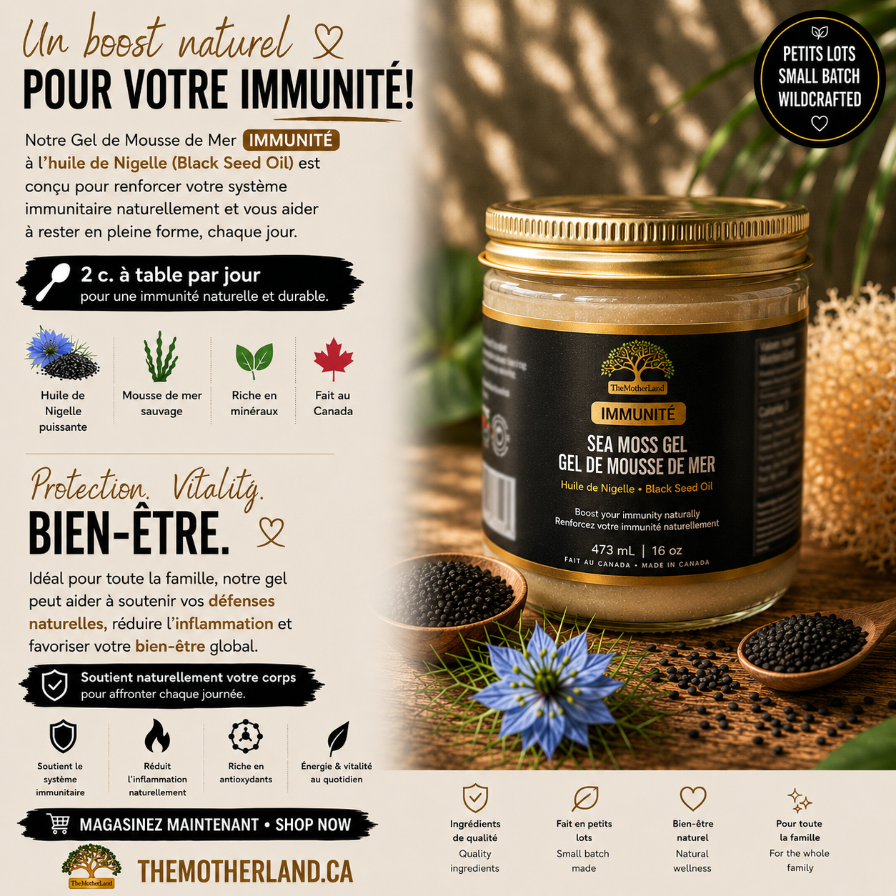 Premium Organic Sea Moss Gel with Ethiopian Black Seed Oil 100% Natural and Wildcrafted
