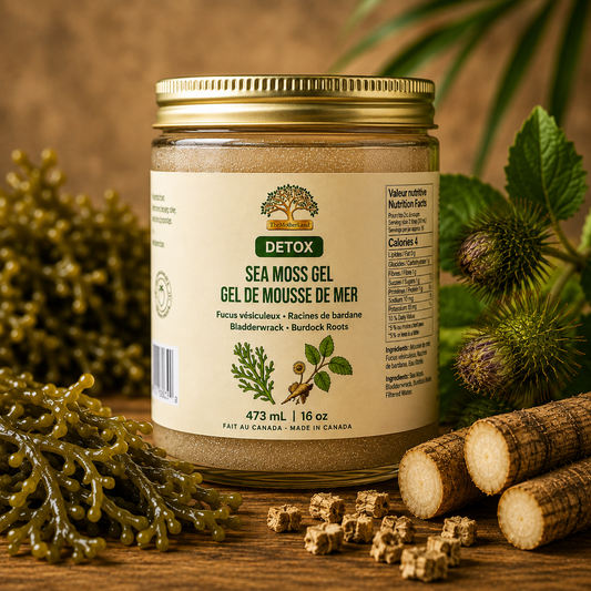 Premium Organic Sea Moss Gel with Bladderwrack and Burduck Roots 100% Natural and Wildcrafted
