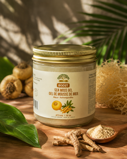 Gel de mousse de mer bio de qualité supérieure avec ashwagandha et maca 100 % naturel