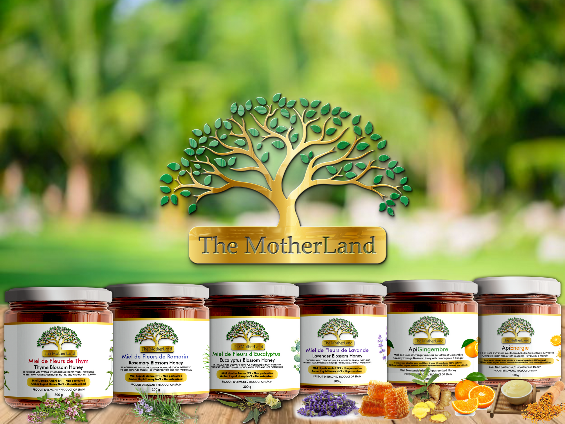 Spanish Eucalyptus Honey 